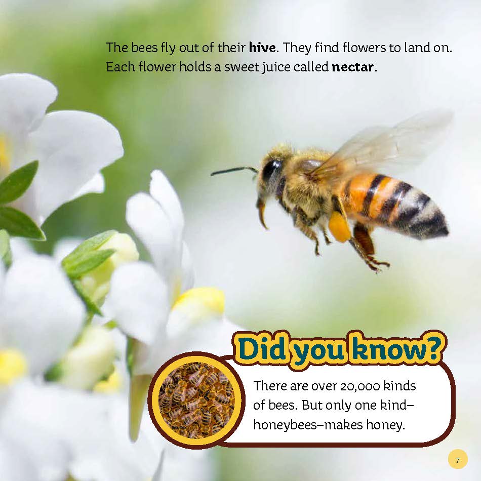 From Hive to Honey