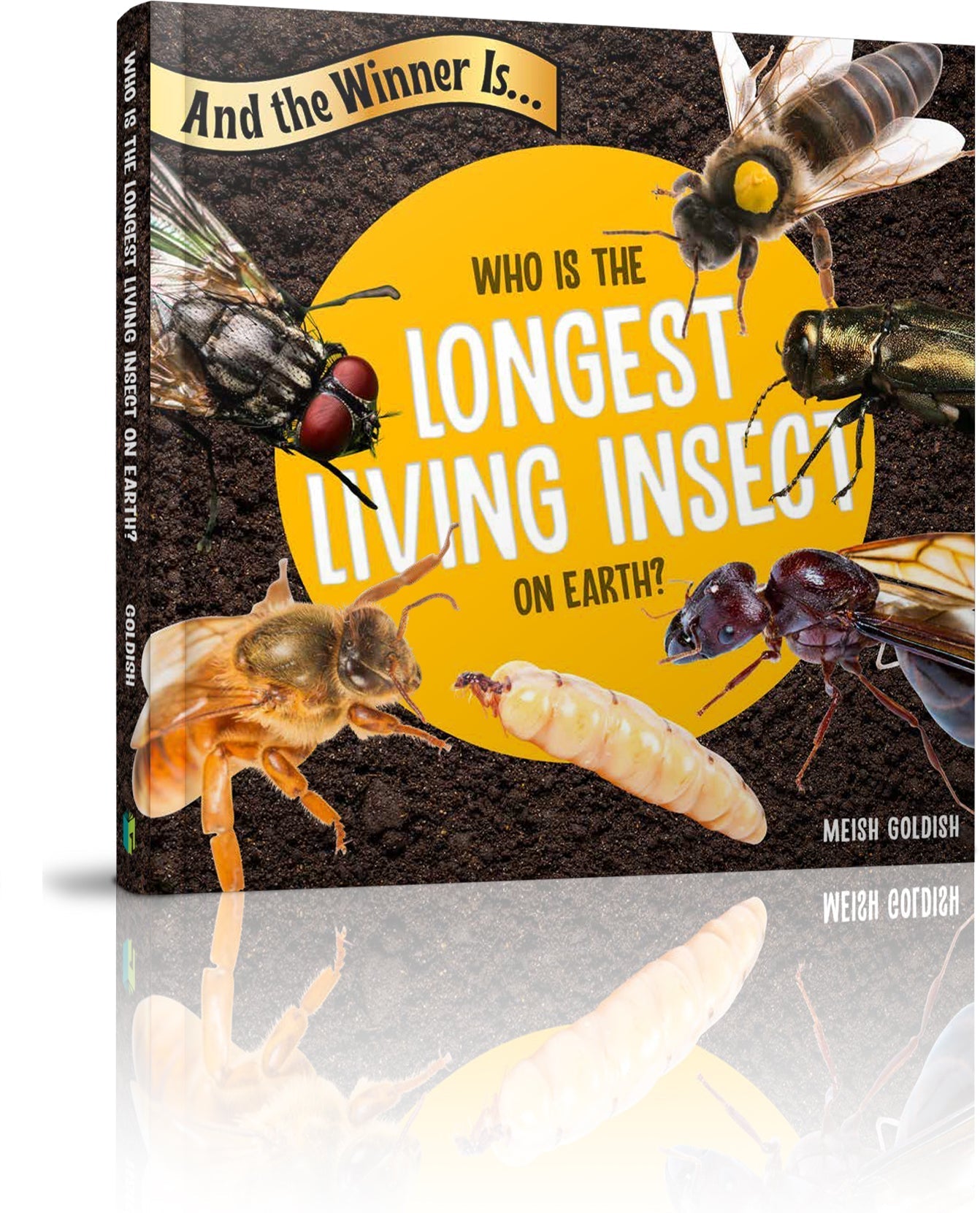 And the Winner Is...Who Is the Longest Living Insect on Earth?