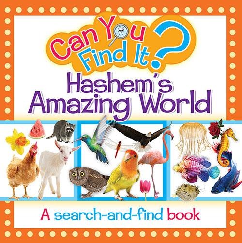 Can You Find It? Hashem's Amazing World [Boardbook]