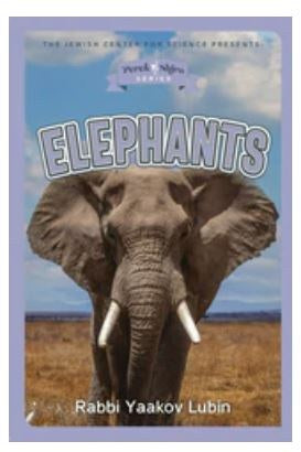 Perek Shira Series Elephants English